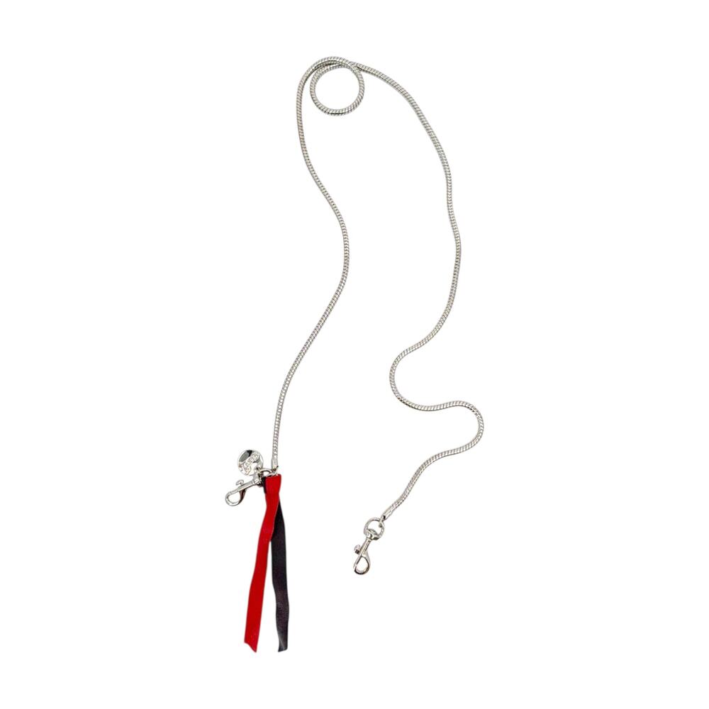 CLARE V. Snake Chain Crossbody Strap in Silver